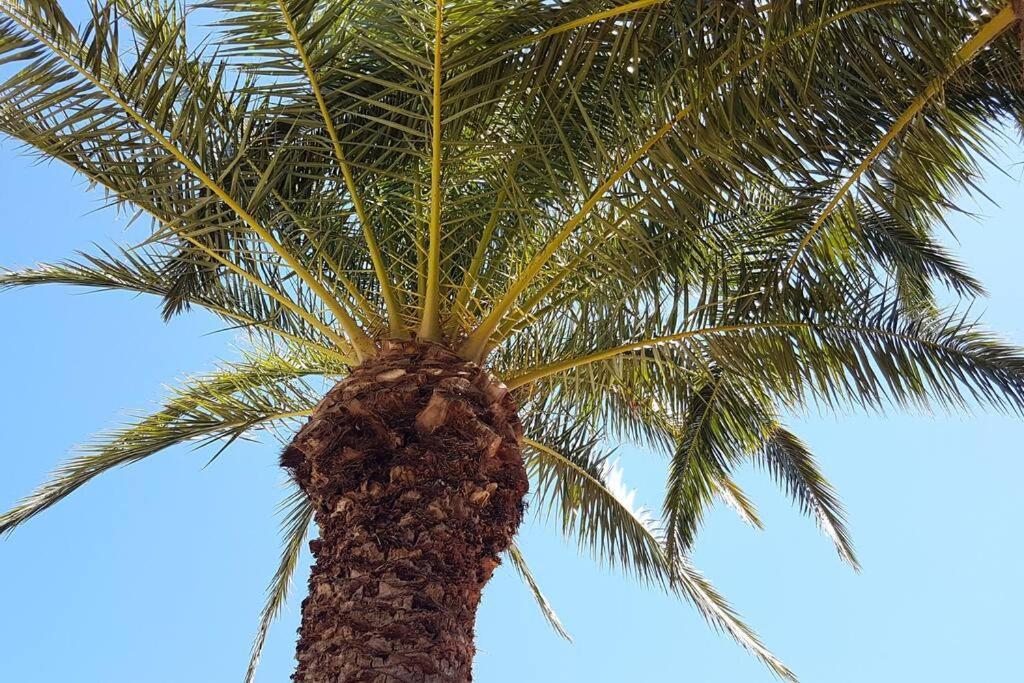 Casa Vista Moraira Met Fantastisch Zeezicht En Gemeenschappelijk Zwembad Appartement *